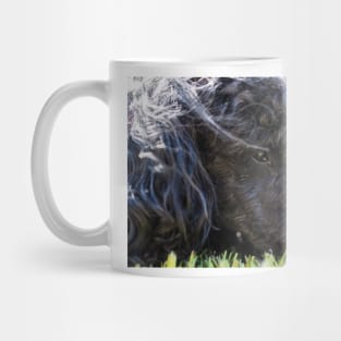 Poodle, Toy 4 Mug